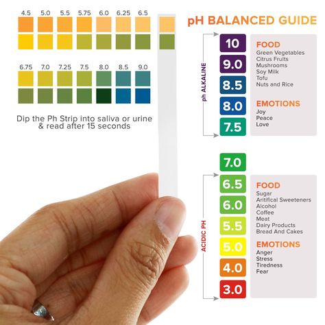 Most people don’t spend a lot of time thinking about their urine, but the fact of the matter is…urine is actually pretty important.  Our body is constantly filtering our blood of impurities and cellular waste. The main organ responsible for this filtering are the kidneys. The waste filtered by the kidneys then ends up in… Test Tracker, Ph Chart, Alkaline Diet Recipes, Ph Level, Alkaline Diet, Kidney Health, Alkaline Foods, Urinary Tract, Green Vegetables