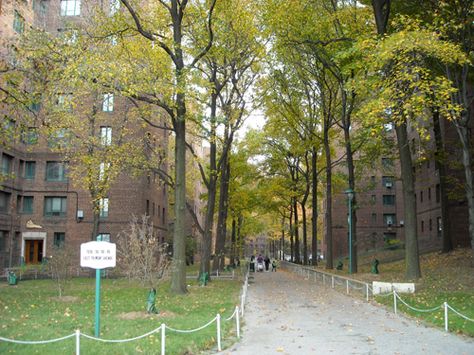 Lehman College, Apartment Development, Gallery Architecture, Gaston Bachelard, Writing Organization, Bronx Nyc, Underwater City, Beautiful Spaces, Moving Out