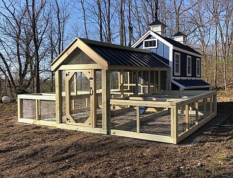 chicken coops| doghouses| www.coops4chicks.com | United States 30 Chicken Coop, Multi Breed Chicken Coop, Henhouse Ideas, Divided Chicken Coop, Walk In Chicken Coop Ideas, Chicken Coop Town, Luxury Chicken Coop, Big Chicken Coop Ideas, Large Chicken Coop Plans