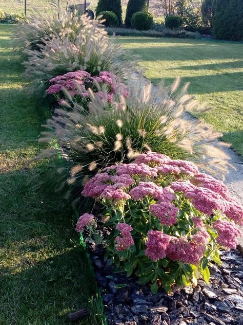 Bushes Against Fence, Landscaping Along Road, Ornamental Grass Landscape, Front Garden Landscape, Green Houses, Front Yard Garden Design, Front Landscaping, Have Inspiration, Outdoor Gardens Design