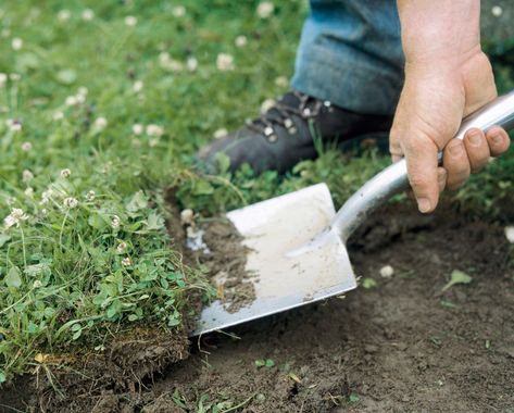 Often you need to remove grass from your yard before starting outdoor projects. Follow these steps and learn how to remove grass from your yard. How To Remove Grass, Clean Baking Pans, Cleaning Painted Walls, Glass Cooktop, Deep Cleaning Tips, Remove Stains, Better Homes And Garden, Backyard Inspo, Clean Dishwasher