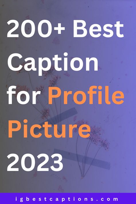 Your profile picture is the first impression you make on social media platform. It is the face of your online identity and the perfect opportunity to showcase your unique personality. A great profile picture can reflect your style, interests, and even your brand. Funny Caption For Profile Picture, Fb Profile Picture Captions, Facebook Photos Profile Pictures, Profile Picture Message, Profile Picture Facebook Unique, Cute Facebook Profile Picture, Fb Profile Caption Ideas, Quote For Profile Picture, Profile Captions Facebook One Word