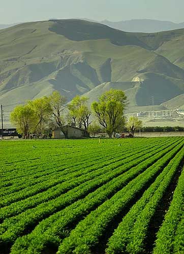 The Central Valley, which grows one third of the nation's food California Illustration, Central Valley California, Space Landscape, San Joaquin Valley, Kern County, 1 Percent, Max Lucado, California Photos, California Landscape