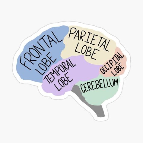 University Stickers Aesthetic, Psychology Stickers Aesthetic, Neurosurgeon Notes, Disabilities Poster, Neuroscience Aesthetic, Aesthetic Brain, Psychology Stickers, Brain Aesthetic, Psychology Aesthetic