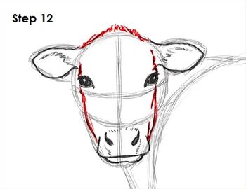 Cow Drawing 12 Draw A Cow, Cow Sketch, Animal Tutorial, Highland Cow Painting, Drawing Instructions, Cow Drawing, Cow Ears, Whimsical Art Paintings, Farm Quilt