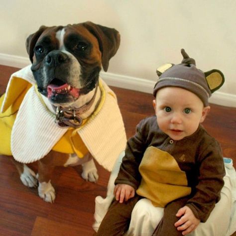 What could possibly be cuter than a kid in a Halloween costume? A kid AND a dog in coordinated costumes together! Baby Skunk Costume, Baby Ewok Costume, Ewok Baby, Dog And Baby, Kid Costumes, Baby And Dog, Pregnant Halloween Costumes, Baby Boy Halloween