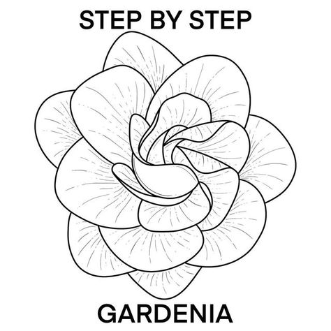 Kaily Wilson on Instagram: "STEP BY STEP GARDENIA I have a few favourite flowers these days but this one is a long time love. The smell of gardenia is incredible 😍 Drawing the centre is a bit tricky but once you get past that, all that is left are the relaxing details. Title page shows full work and slide 10 gives you the suggested directions for your petal details. A helpful post to read if you need a bit more guidance 👇🏻 ✨Petal Detail Tutorial Working out a new posting schedule 🌸 YouTu Gardenia Drawing Flower, Gardenia Drawing, Gardenia Painting, Gardenia Trees, Gardenia Flowers, Flower Tattoo Stencils, Youtube Setup, Gardenia Plant, Italian Flowers