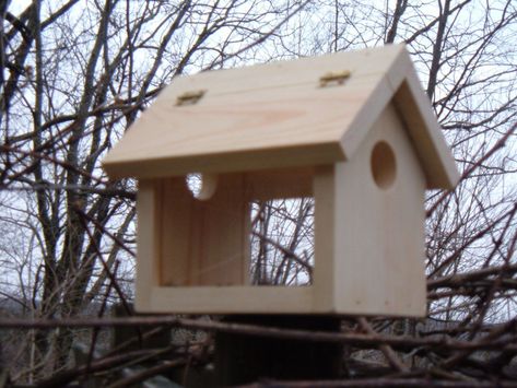 DIY Plans with photos and step-by-step instructions for making a bluebird feeder. This feeder lets the bluebirds in, but keeps bigger birds out. Blue Jay Feeder, Blue Jay Bird Feeder, Bluebird Feeder, Diy Birdhouse Plans, Bluebird House Plans, Birdhouse Plans, Diy Birdhouse, Birdhouse Ideas, Bird Feeder Plans