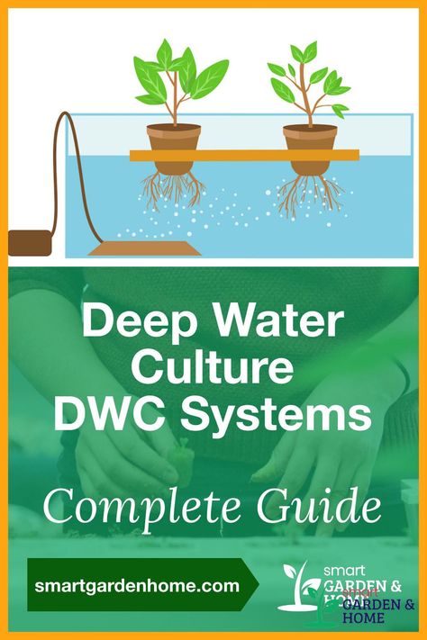 If you didn’t know we were talking about gardening, Deep Water Culture may sound like something that you would need scuba gear for. In actuality, DWC is one of the simplest hydroponic methods of growing plants. https://smartgardenhome.com/hydroponics/deep-water-culture/?utm_source=pinterest&utm_medium=smartgardenhome&utm_campaign=publer #smartgardenhome #gardening #houseplants Deep Water Culture Hydroponics, Soil Nutrients, Diy Hydroponics, Deep Water Culture, Indoor Hydroponics, Hydroponics Diy, Hydroponic Growing, Scuba Gear, Plant Nutrients