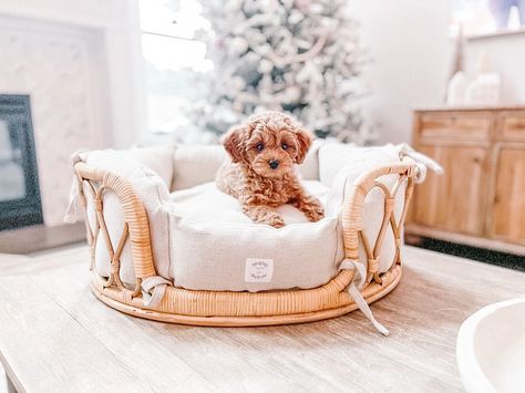 Puppy Beds Aesthetic, Boujee Dog Beds, Cute Aesthetic Dog Beds, Cute Dog Bed Aesthetic, Beachy Dog Bed, Scandinavian Dog Bed, Cute Dog Beds For Medium Dogs, Rattan Pet Bed, Cute Puppy Beds