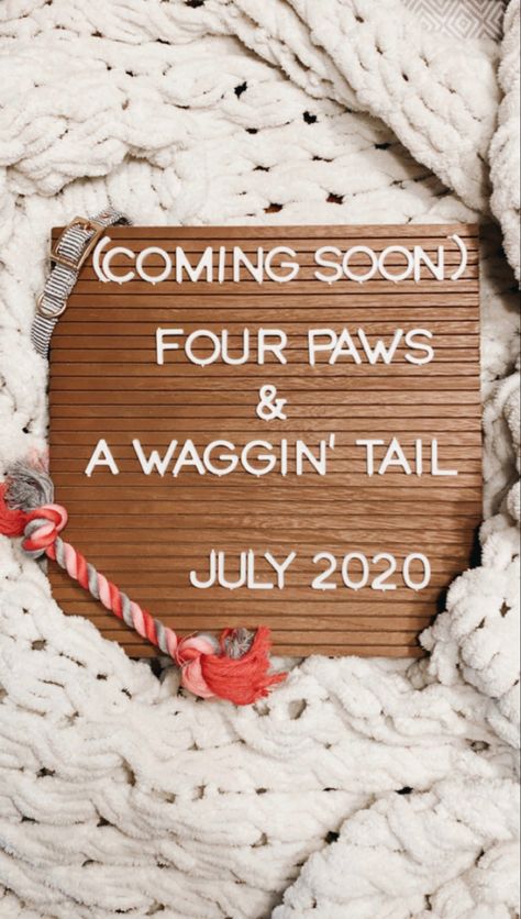 Puppy announcement!! 2nd Puppy Announcement, Puppy Reveal Ideas, Dog Announcement, New Puppy Announcement, Getting A Puppy Announcement, Announcing New Puppy, Getting A Dog Announcement, New Puppy Announcement Instagram, Puppy Announcement Ideas