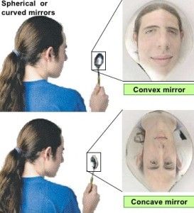 Uses of the concave mirror and the convex mirror in our daily life Fertilization Process, Concave Mirror, Concave Mirrors, Physics Concepts, Curved Mirror, Tissue Types, About Science, Convex Mirror, Life Science