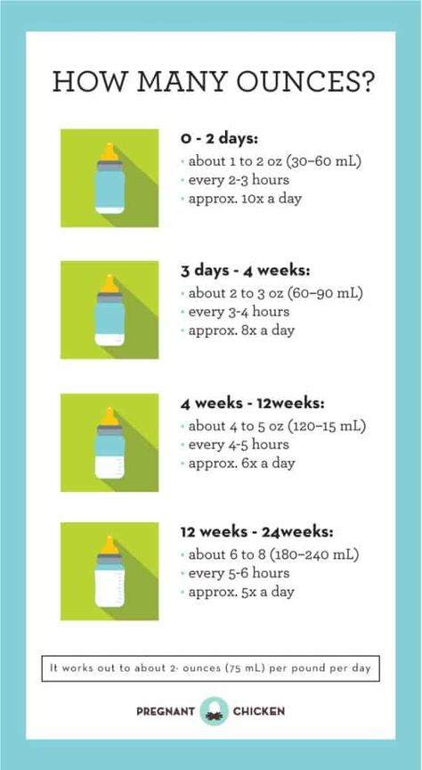 Formal feeding may feel complicated and a little overwhelming with all the gear available. Here's a breakdown of what you need and how to get started! Baby Trivia, Newborn Schedule, Baby Routine, Formula Feeding, Newborn Feeding, Baby Information, Baby Schedule, Newborn Baby Tips, Baby Life Hacks