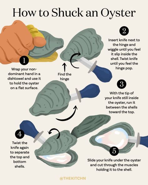 How To Shuck an Oyster — The Easiest and Safest Method | Kitchn How To Shuck An Oyster, Oyster Bar Restaurant, Eating Oysters, Cooked Oysters, Oyster Knife, Oyster Roast, Shucking Oysters, Oyster Recipes, Fresh Oysters