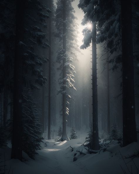 Snowy Forest Photography, Snowy Pine Forest, Fantasy Winter Aesthetic, Nuclear Winter Aesthetic, Snow Forest Aesthetic, Snow Forest Painting, Dark Snowy Forest, Dark Snow Aesthetic, Winter Forest Aesthetic