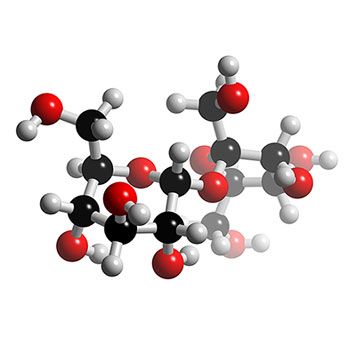 There are two types of carbohydrates: starches and sugars. Complex sugars and starches store energy, while simple sugars are used for quick energy. Carbohydrates also provide protection and structure for some marine organisms. Colourful Images, Marine Organism, Quick Energy, Nutrition Science, Complete Nutrition, Science Chemistry, Full Meal Recipes, The Science, Chemistry