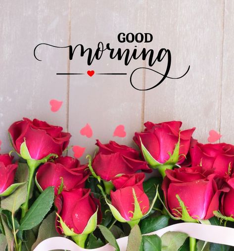 Good Morning Beautiful Images Love Quotes, Good Morning With Roses, Mrng Vibes, Good Morning With Love, Roses Good Morning, Good Morning With Flowers, Happy Morning Images, Good Morning Rose, Beautiful Morning Images