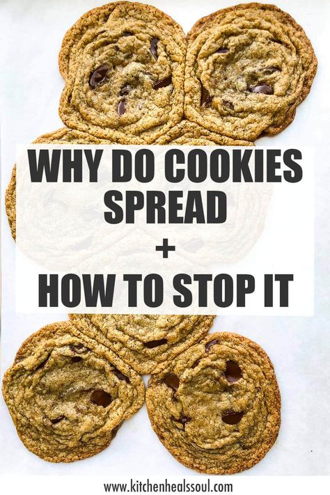 Sometimes you want a cookie to spread and sometimes you don't. Find out all the reasons cookies spread (or don't spread) so that you can troubleshoot and make cookies exactly as you want them! Thick Cookies, Drop Cookie Recipes, Chocolate Dipped Cookies, Perfect Sugar Cookies, Make Chocolate Chip Cookies, Clean Baking, Chocolate Cookie Dough, Baking Science, Cookie Spread