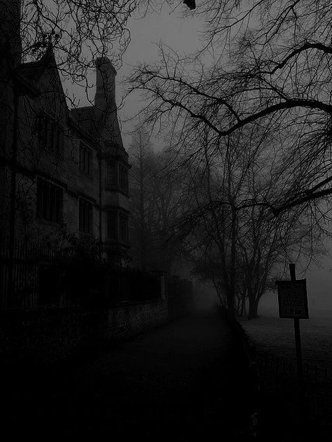 This house is haunted Dark Naturalism, Arte Occulta, Darkness Falls, Slytherin Aesthetic, Tapeta Galaxie, Dark Paradise, 다크 판타지, Gothic Aesthetic, Gray Aesthetic