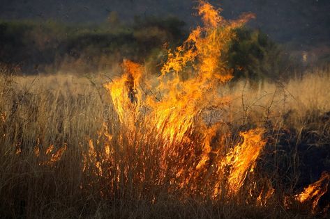 Burning Reference, Fire Destruction, Fire Reference, Bush Fire, Grass Drawing, Burning House, Fire Drawing, Wildland Fire, Fire Stock