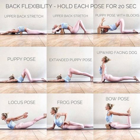 Yoga for Back Flexibility👉 🔸🔸🔸🔸🔸🔸🔸🔸🔸🔸🔸 The health of your #spine is key to the health of your whole body. Use these #yoga #poses for your spine to improve #mobility and decrease #backpain. 🔸🔸🔸🔸🔸🔸🔸🔸🔸🔸🔸 #fitabouts #fitzabout #backpainsolution #backpaintips #backpainexercises #backpainhelp #backpainbegone #backpainsupport #backpaintedglass #backpainremedy #backpaincorset #backpains #backpaintreatment #backpaindubai #backpainsucks #backpaintreatmentdubai #backpainrelief #flexi Nutty Buddy, Back Flexibility, Puppy Pose, Bow Pose, Better Lifestyle, Yoga Youtube, Yoga Beginners, Dog Yoga, Beginner Yoga