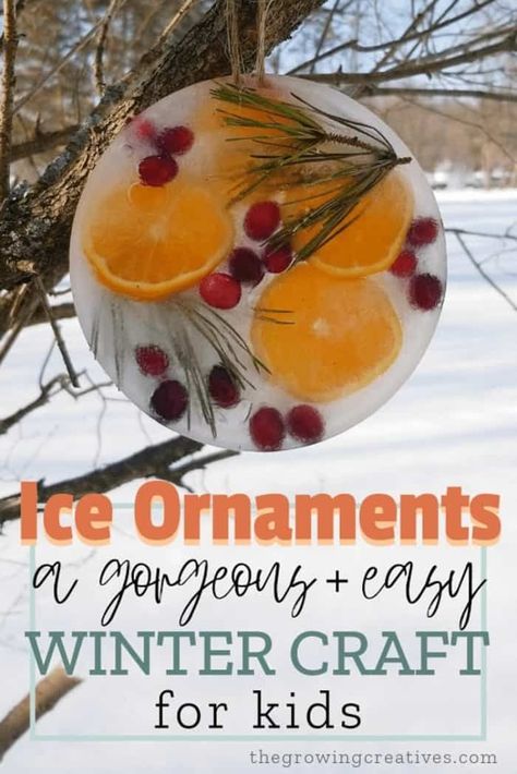 Ice Ornaments, Julkransar Diy, Juleverksted For Barn, Easy Winter Crafts, Winter Activities For Kids, Winter Craft, Winter Crafts For Kids, Winter Kids, Nature Crafts