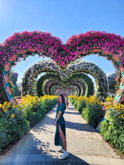 Miracle Garden Dubai Photoshoot, Miracle Garden Photo Ideas, Dubai Miracle Garden Photography, Miracle Garden Dubai Photography, Dubai Flower Garden, Miracle Garden Dubai Outfit, Dubai Poses, Dubai Photography Ideas, Dubai Pics