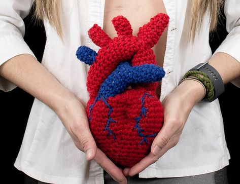 Once You See It, You’ll Want To Crochet This Anatomical Heart Surgery Trophy Designed By Shawn Torres | KnitHacker Stained Glass Crochet, Trophy Design, Heart Surgery, Anatomical Heart, Afghan Pattern, Knit Picks, Crochet Diagram, Tapestry Crochet, Knit Stitch