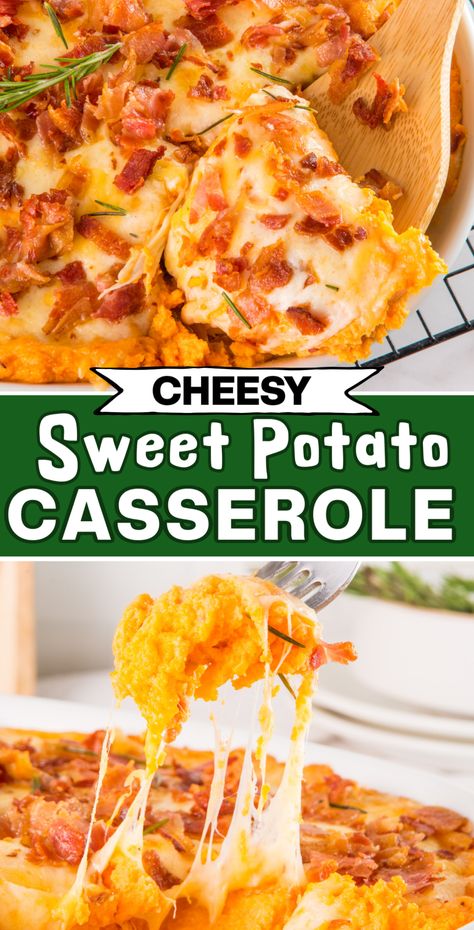 Cheesy Sweet Potato Casserole, Cheesy Sweet Potato Recipes, Mashed Sweet Potato Casserole, Casserole With Cheese, Sweet Potato Casserole Healthy, Sweet Potato Side Dish, Mashed Sweet Potato, Mashed Potato Casserole, Thanksgiving Dinner Recipes