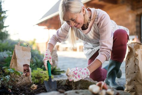 How to Prepare Your Garden for Winter in Two Days Holiday Breads, Common Lawn Weeds, Breakfast Strata, Fall Perennials, Italian Cookie, Christmas Appetizer, Breakfast Casseroles, Weeds In Lawn, Perennial Vegetables