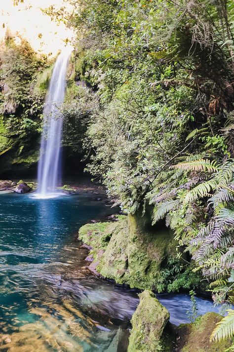 The "Closed to the Public" Omanawa Falls (Tauranga New Zealand) #beautiful #awesome #great #dayobamidele Tauranga New Zealand Photography, New Zealand Photography, Tauranga New Zealand, Most Popular Memes, All In One App, Old Paintings, Life Memes, Sports Humor, Big Bang Theory