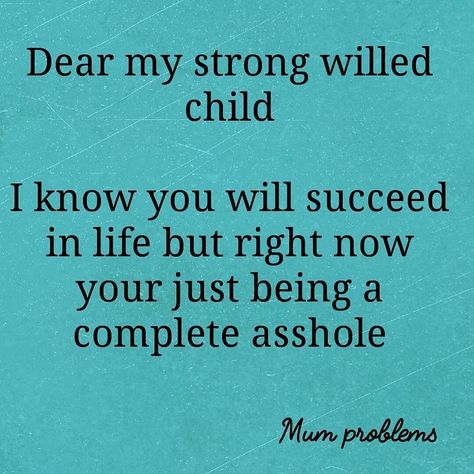 Mum Memes, Citation Parents, Toddler Quotes, Mom Birthday Quotes, Strong Willed Child, Mommy Quotes, Parents Quotes Funny, Mom Life Quotes, Mom Memes