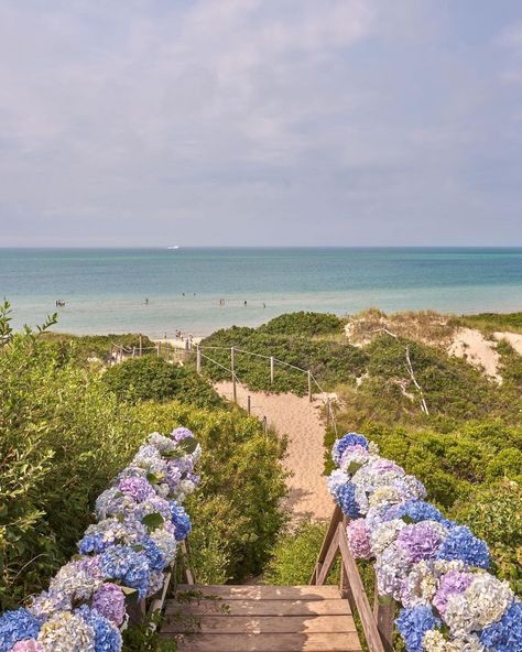 Hydrangea Colors, Gray Malin, Summer Getaway, Framing Photography, Fine Art Photography Print, Coastal Landscape, Photography Prints Art, Media Images, Coastal Towns