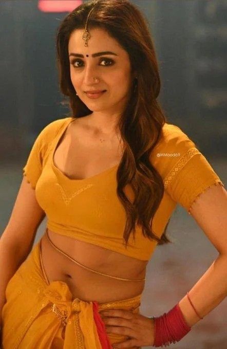 Trisha Actress, Traditional Look, Hot Pics, Indian Actress Hot Pics, Actor Photo, India Beauty, Actress Photos, Bollywood Actress, Beauty Women