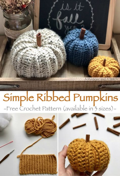 Simple Ribbed Pumpkins- Free crochet pattern in small, medium and large. By A Purpose and A Stitch Crocheted Pumpkins, Crochet Pour Halloween, Beau Crochet, Crochet Pumpkins, Fall Crochet Patterns, Confection Au Crochet, Halloween Crochet Patterns, Crochet Gratis, Crochet Simple