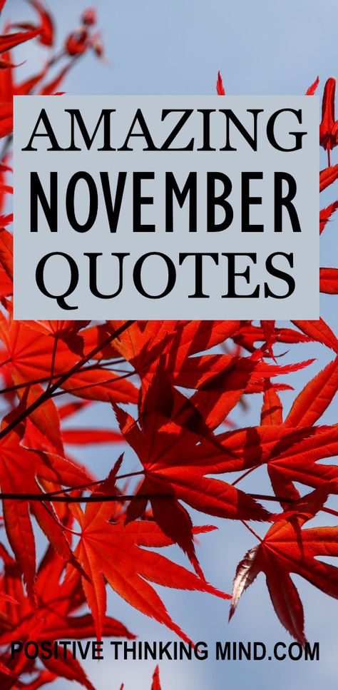 Here are 57 November Quotes and November Sayings that will make you thankful for fall and find the right words to celebrate the month of gratitude. November Welcome Quotes, 1st Of November Quotes, Movember Quotes, November Sayings, November Quotes Fall, November Quotes Thankful, Happy Fall Quotes, Month Of Gratitude, Nostalgia Quotes