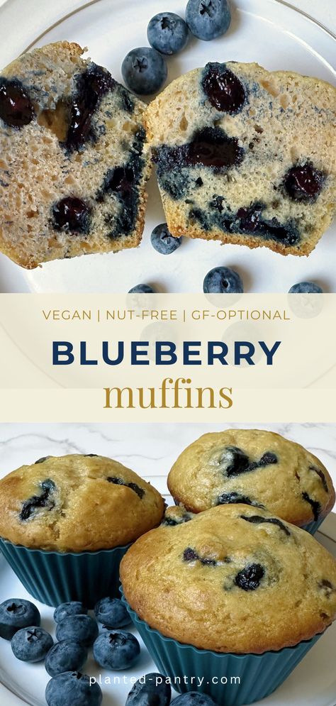 Indulge in these amazing blueberry muffins; light and fluffy yet bursting with juicy blueberries. Refined Sugar Free Blueberry Muffins, Blueberry Muffin Recipes, Sugar Free Blueberry Muffins, Muffin Vegan, Vegan Blueberry Muffins, Vegan Muffins, Nut Free Recipes, Maple Sugar, Vegan Blueberry