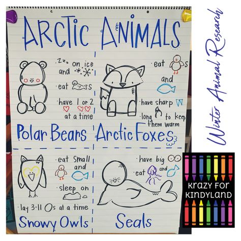 January Crafts and Activities for Kindergarten - Kindergarten Craft Activities Polar Bear Activities For Kindergarten, Research Anchor Chart, Anchor Chart For Kindergarten, Arctic Animals Kindergarten, Arctic Animals Preschool Activities, Polar Animals Preschool, Kindergarten Science Lessons, Winter Animals Preschool, Arctic Animals Activities