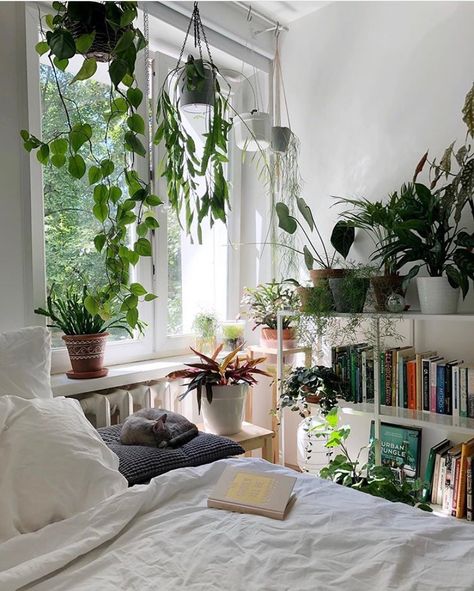 Plant Bedroom Aesthetic, Urban Jungle Bedroom, Urban Jungle Interior, New York Bedroom, Lounge Room Styling, Jungle Bedroom, Organic Bedroom, Natural Bedroom, Earthy Bedroom