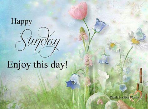 Happy Sunday Images, Sunday Morning Quotes, Happy Sunday Morning, Sunday Greetings, Sunday Wishes, Sunday Images, Good Morning Happy Sunday, Blessed Sunday, Happy Sunday Quotes