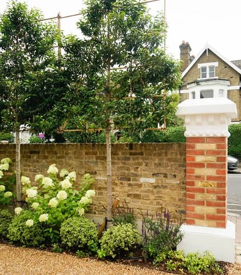 Front Garden Ideas to Boost Your Home’s Kerb Appeal | Homebuilding Large Front Garden Ideas Driveways, Front Garden Planter Ideas, Curb Appeal Uk, Large Front Garden, Front Garden Ideas Uk, Birch Garden, Garden Design Ideas Uk, Front Garden Ideas Driveway, Pleached Trees