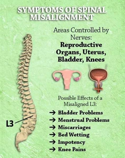 Nerves Spinal Misalignment, Liver Anatomy, Chiropractic Benefits, Acupuncture Points Chart, Upward Spiral, Spinal Degeneration, Nerve Anatomy, Benefits Of Chiropractic Care, Spinal Fluid