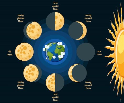 Moon Phase Drawing, Moon Phases Drawing, Eclipse Solar, Moon Eclipse, Lunar Phase, Lunar Eclipse, Muslim Book, Earth From Space, 1st Grade Math