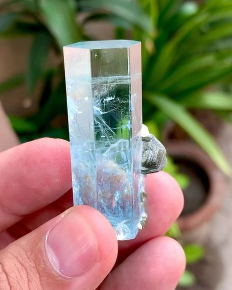 Muhammad Majid on Instagram: "Gem grade Aquamarine crystal with Green Mica. Crystal has excellent luster with perfect color. Weight : 31 gram Size : 48*22*21 mm Origin : Shigar valley skardu pakistan #aquamarine #aquamarines #aquamarinecrystal #aquamarinecrystals #aquamarinespecimen #aquamarinestone #aquamarina #beryl #mica #crystals #crystalshop #crystalporn #crystalsofinsta #minerals #mineralsparadise #mineralsofig #mineralspecimen #minerology #gemstones #gems #gemporn #geology #geologypage #geologyrocks #geologists #rockhounds #rockhounding #giveaway" Mica Crystal, Pink Geode, Gemstones Chart, Crystal Drawing, Crystal Room, Crystal Vibes, Magic Stones, Skardu Pakistan, Geology Rocks