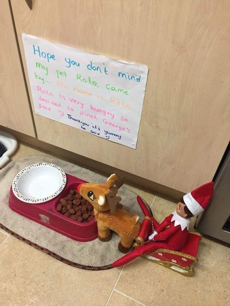 Elf on the shelf steals dog food for reindeer Elf 2023, Elf Is Back Ideas, Fireplace Tv Wall Decor, Elf On Shelf, Elf Pets, Room 2023, Elevated Homes, Fireplace Tv Wall, Elf Fun