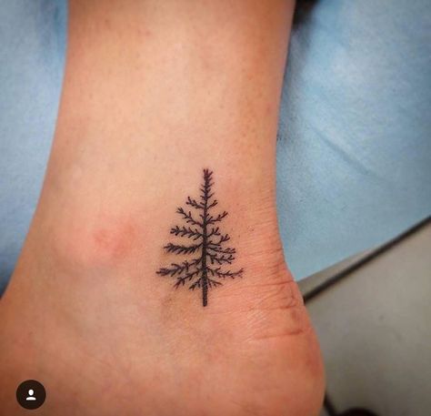 Cute Ankle Tattoos, Hamsa Hand Tattoo, Tree Tattoo Designs, Stick And Poke, Ankle Tattoo, Tree Tattoo, Hamsa Hand, Flower Tattoos, Maple Leaf Tattoo