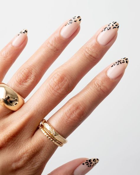 Leopard Print Nails Tutorial, Tattoo Leopard, Leopard Nail Designs, Cheetah Print Nails, Spring Designs, Trends Nails, Milky Nails, Cheetah Nails, Gold Prom