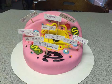 Animal cell cake 3d Animal Cell Cake Project, Animal Cell Cake Project Labeled, Animal Cell Project Cake, Animal Cell Cake, Cell Cake, 3d Animal Cell, Animal Cell Project, Science Cake, Cell Project