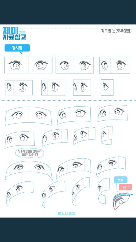 Perspective Eyes Drawing, Anime Eyes Perspective, Head Tips Drawing, Eye Construction Drawing, Anime Face Perspective, Eye Perspective Reference, Eyes Perspective Drawing, Eyes In Perspective, Eye Drawing Perspective