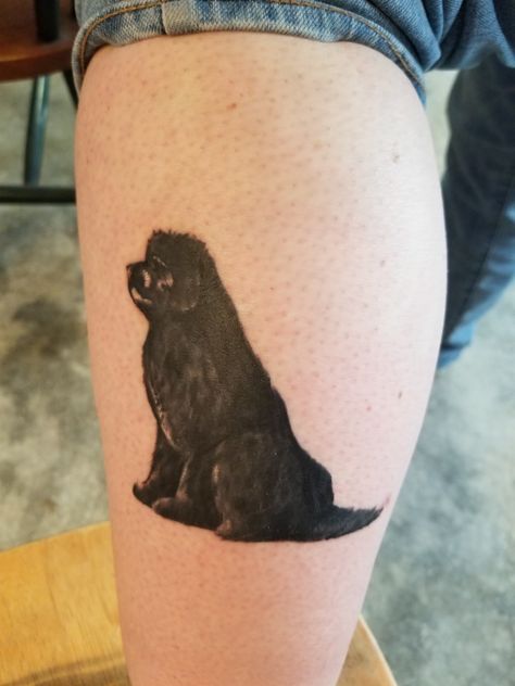 My new tattoo of my Memphis #newfoundlanddogs Newfoundland Dog Tattoo, Newfoundland Tattoo, Landseer Dog, Newfoundland Dogs, Newfoundland Dog, New Tattoo, Tat Ideas, Dog Tattoo, Dog Tattoos